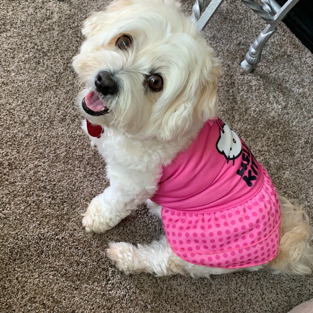 Meet Bella